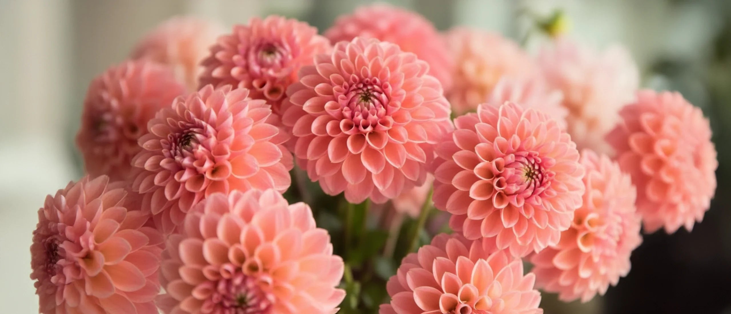 5 Ways to Use the Pantone 2019 Color of the Year