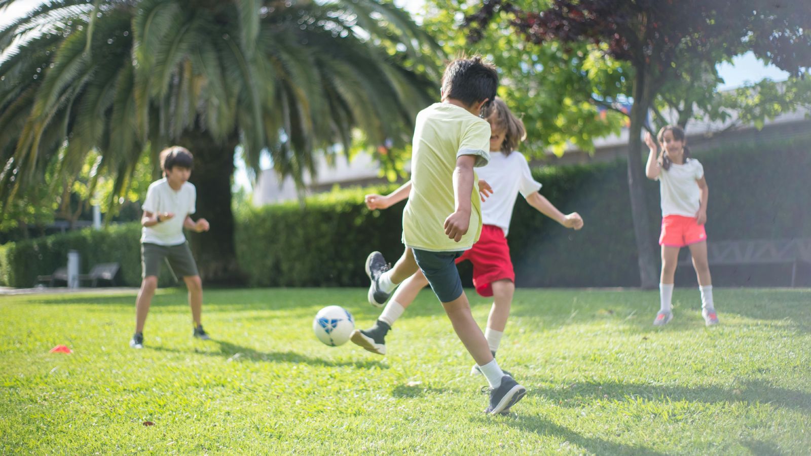 How to Get Your Backyard Ready for Spring Time Fun!