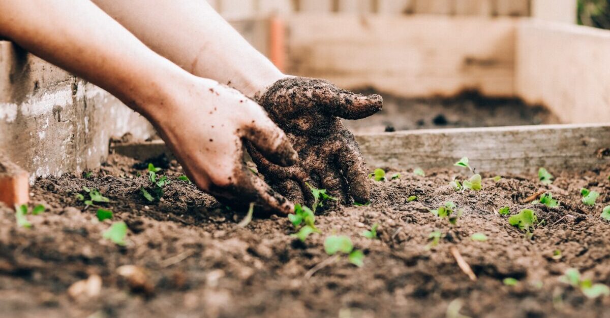 Top 5 Ways to Be Green in Your Backyard