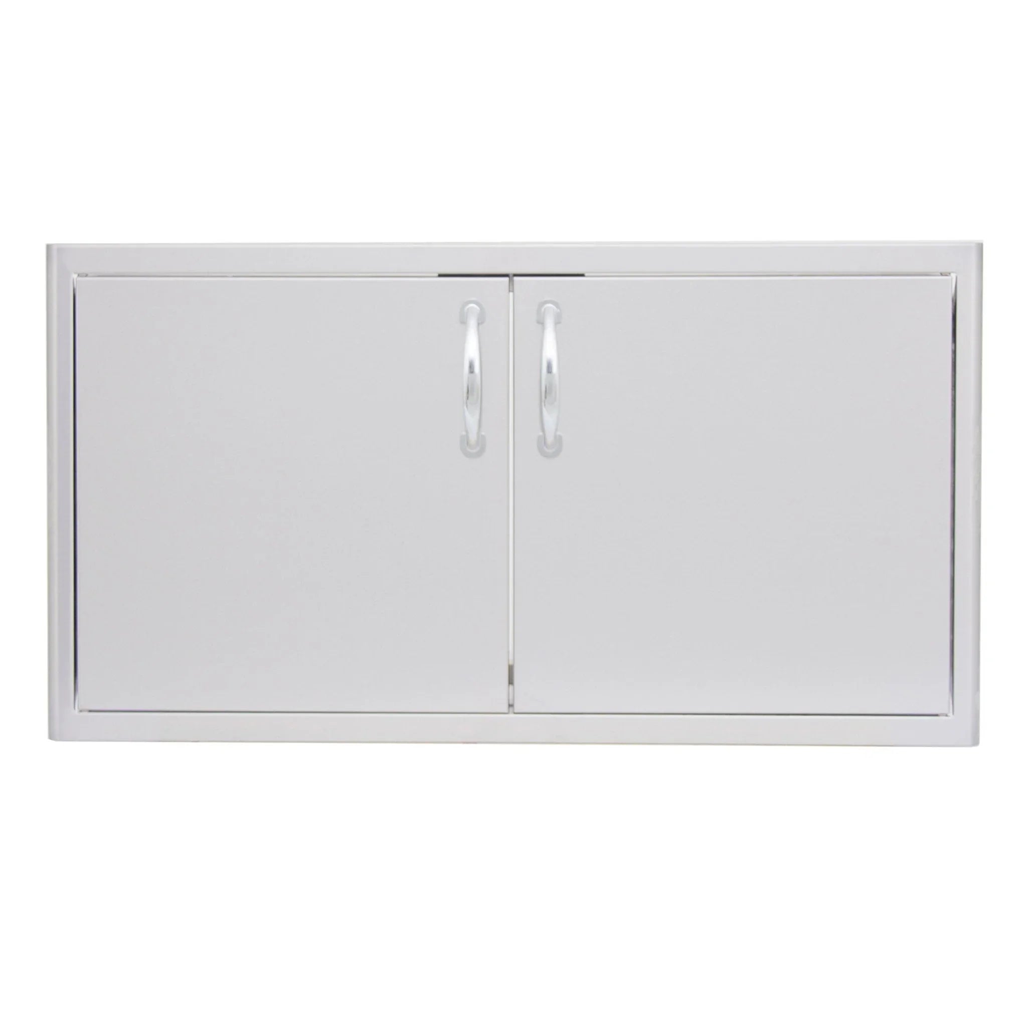 40" Stainless Steel Double Access Door with Paper Towel Dispenser