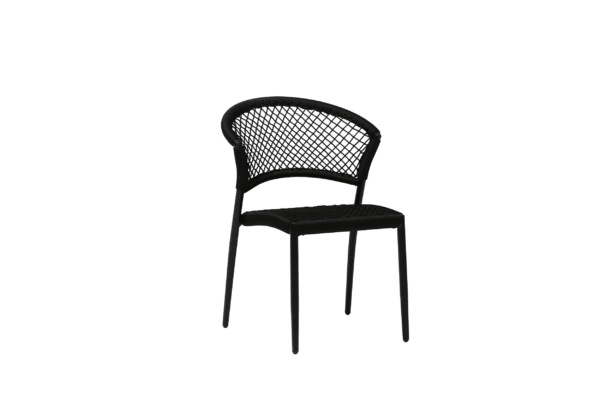 Ria Dining Side Chair - Black Durarope