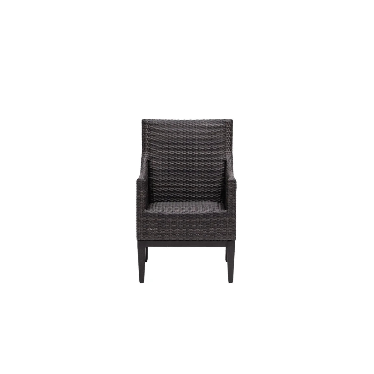 Biltmore Dining Arm Chair