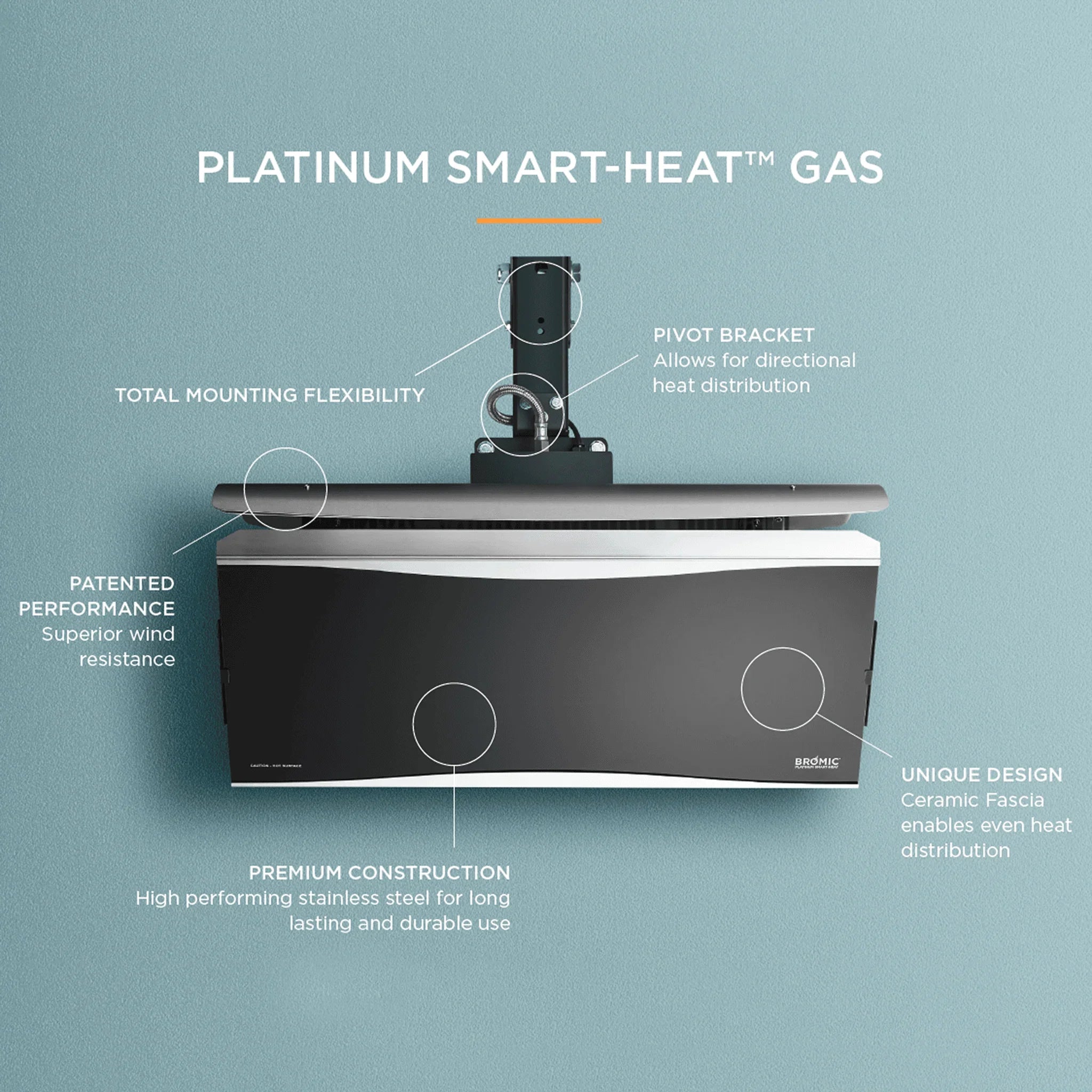 Platinum 300 Gas Heater