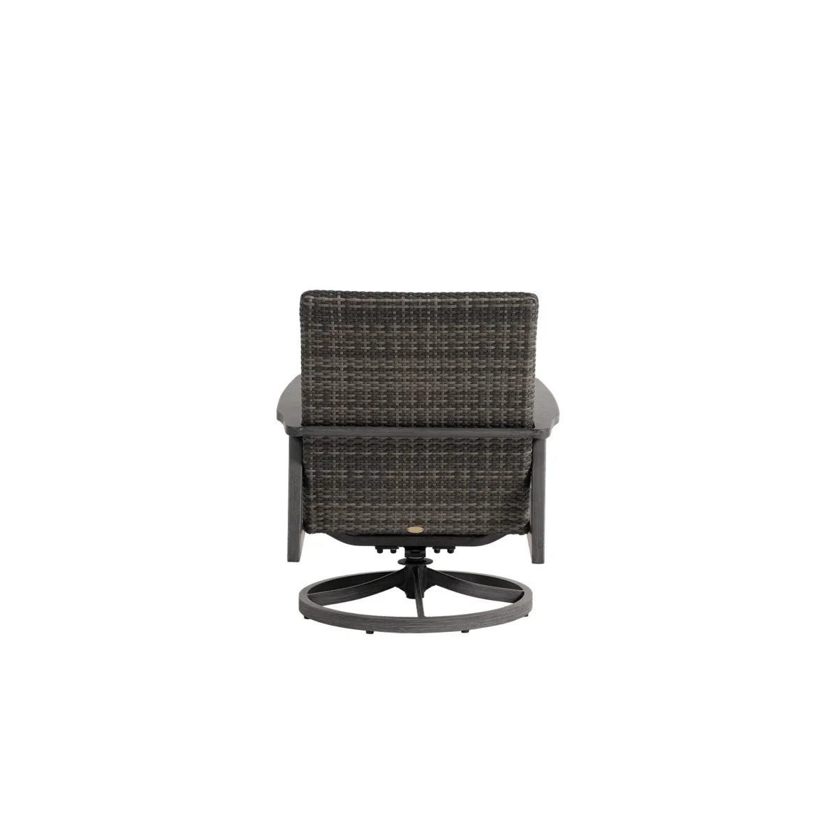 Cabo San Lucas Swivel Rocker