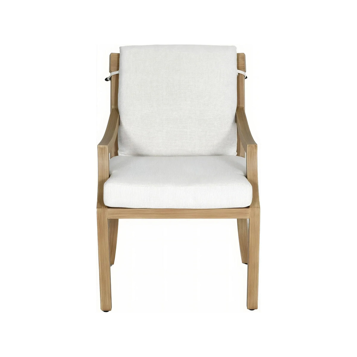 Nicoya Cushioned Dining Arm Chair 1