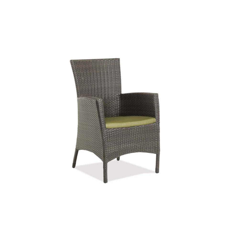 Palm Harbor Dining Arm Chair