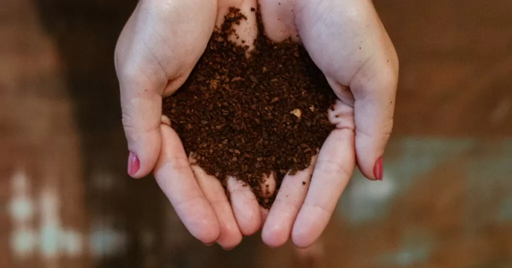 top view of woman's hands with soil