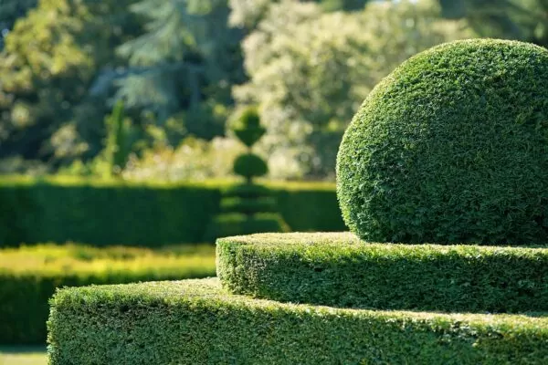 hd wallpaper, garden, hedge
