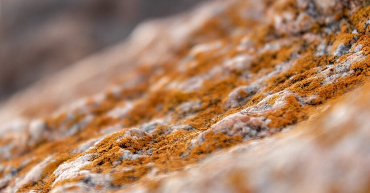 How to Remove Mold and Mildew from Patio Furniture, Cushions, & Umbrellas