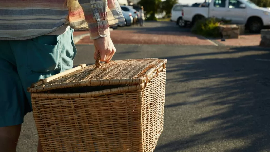 Close-up of a man carrying a picnic basket towards a car on a sunny day