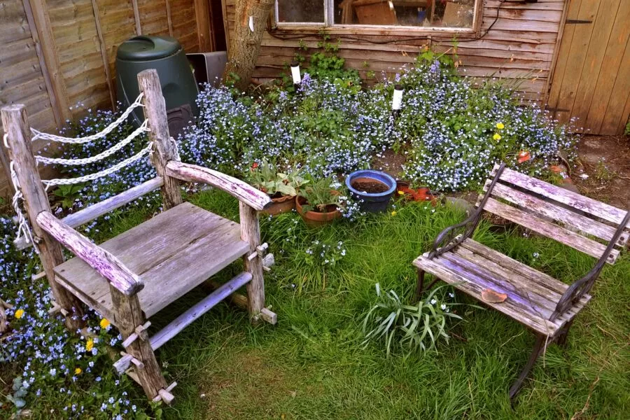 two antique weathered wooden chairs make for a great focal point in a small lush garden