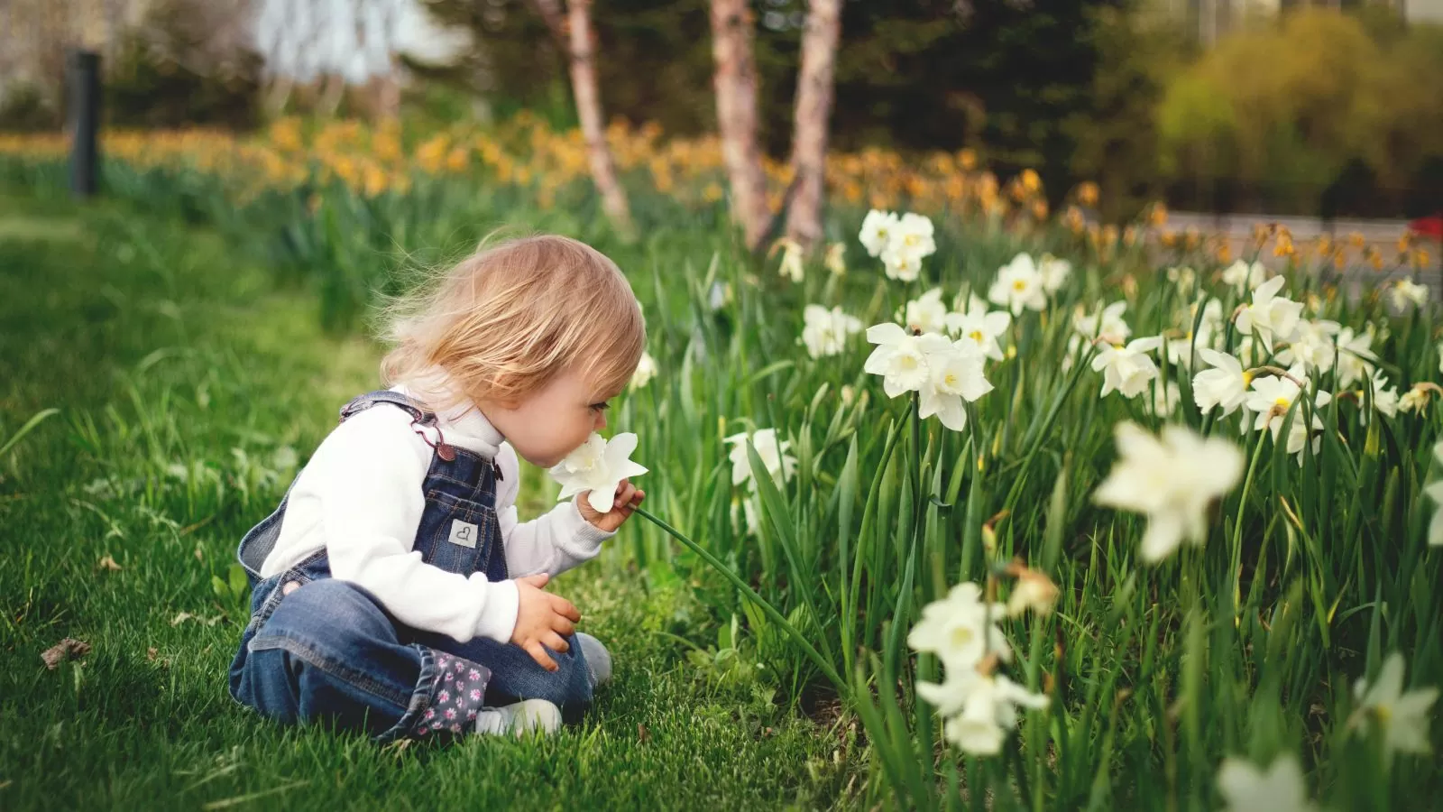 cute little girl smelling flower in a backyard garden