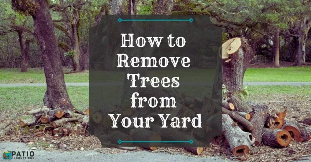How to Remove Trees From Your Yard - a Guide