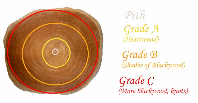 A guide to teak wood grades - a cross section of a teak tree showing where the grades come from. Grade-A teak comes from the middle of the tree and is best for furniture, circled in yellow here. Grade B and C teak is fine for most outdoor uses but not the best, circled in orange and red here.