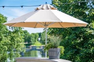 Shop Market Umbrellas