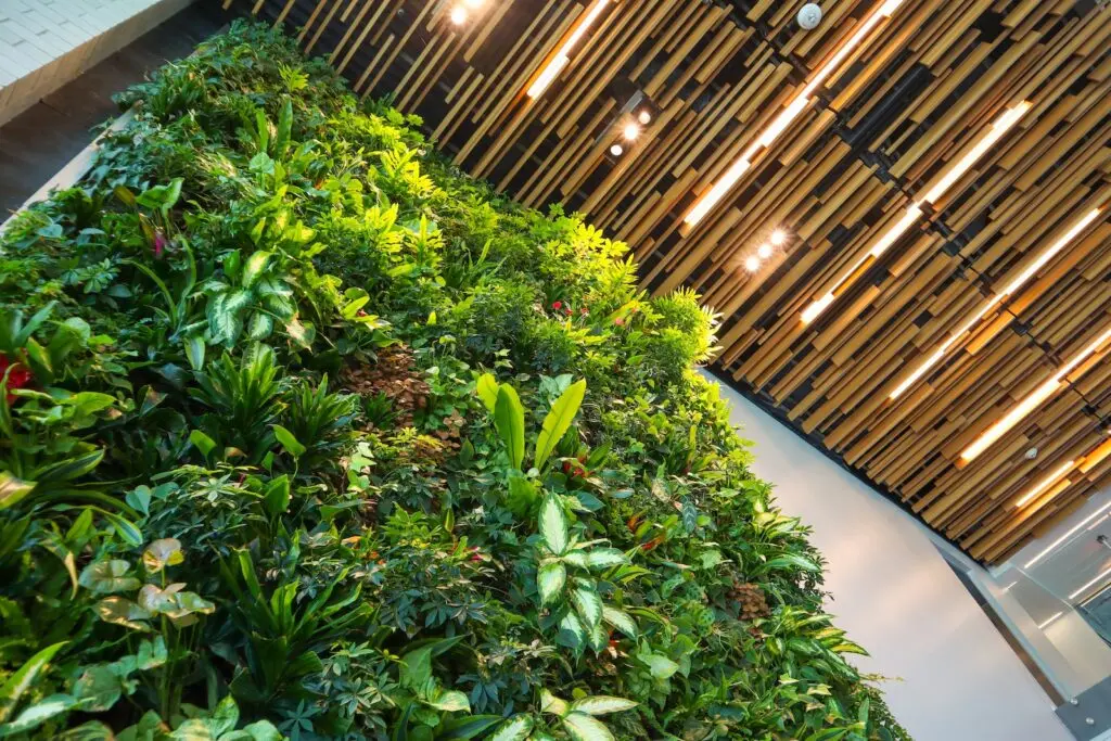 A living wall with green plants on a secluded patio