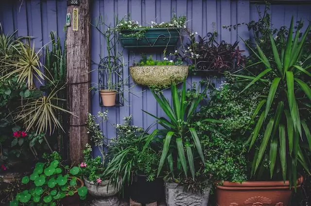 A lush vertical garden adds natural beauty to an outdoor space without crowding it
