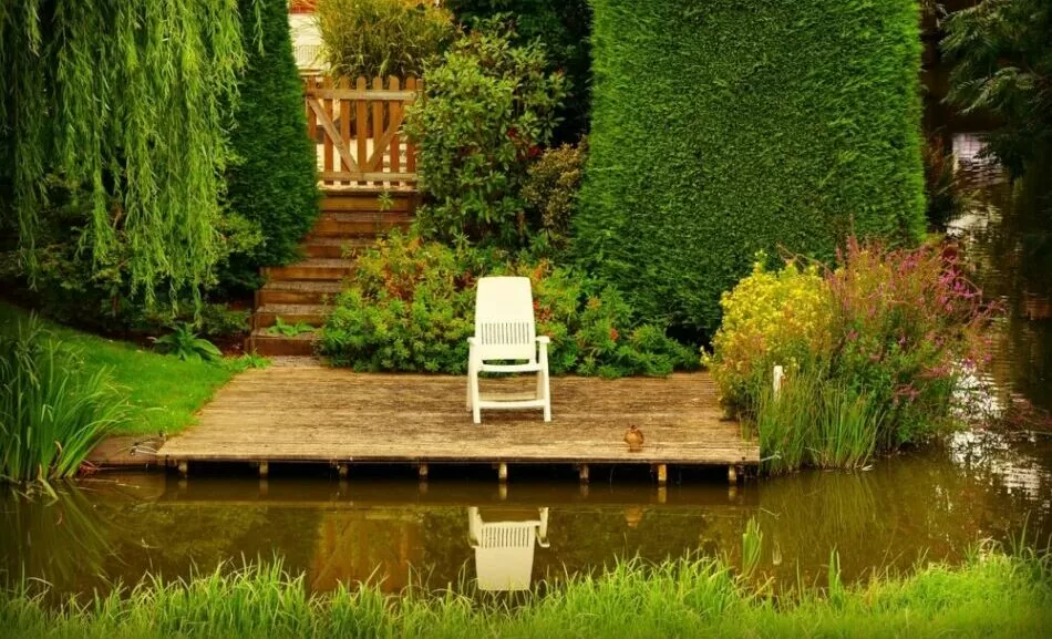 A wooden patio on a pond with a white outdoor chair and surrounded by beautiful foliage lets in lots of natural light