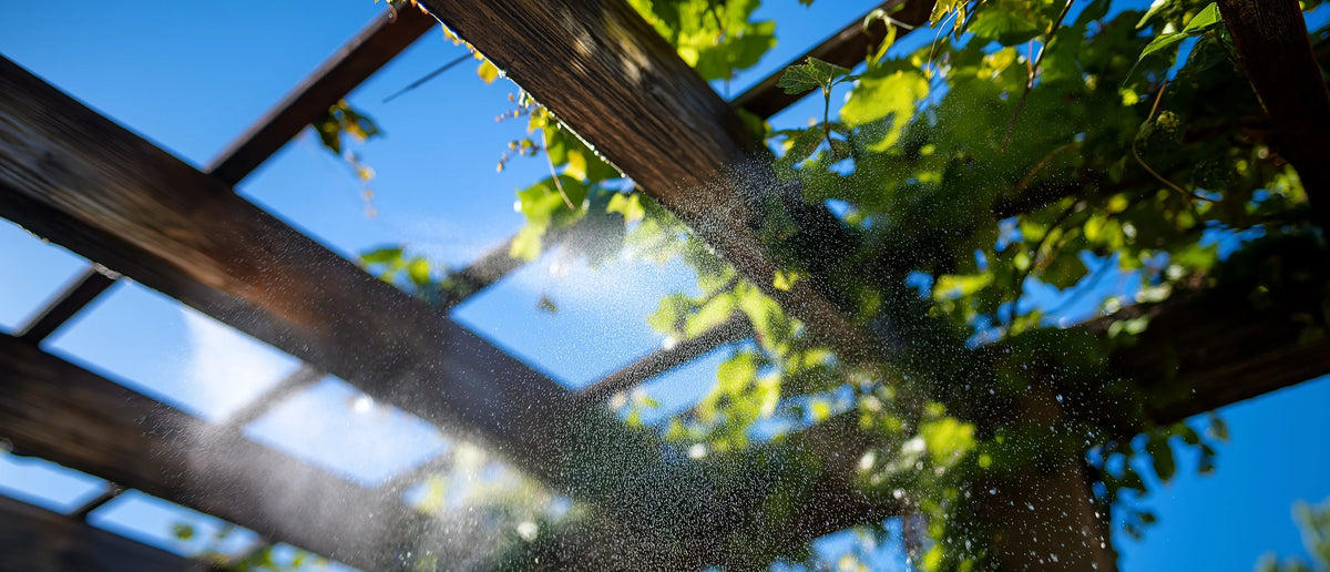 Understanding How Misting Systems Can Work for You
