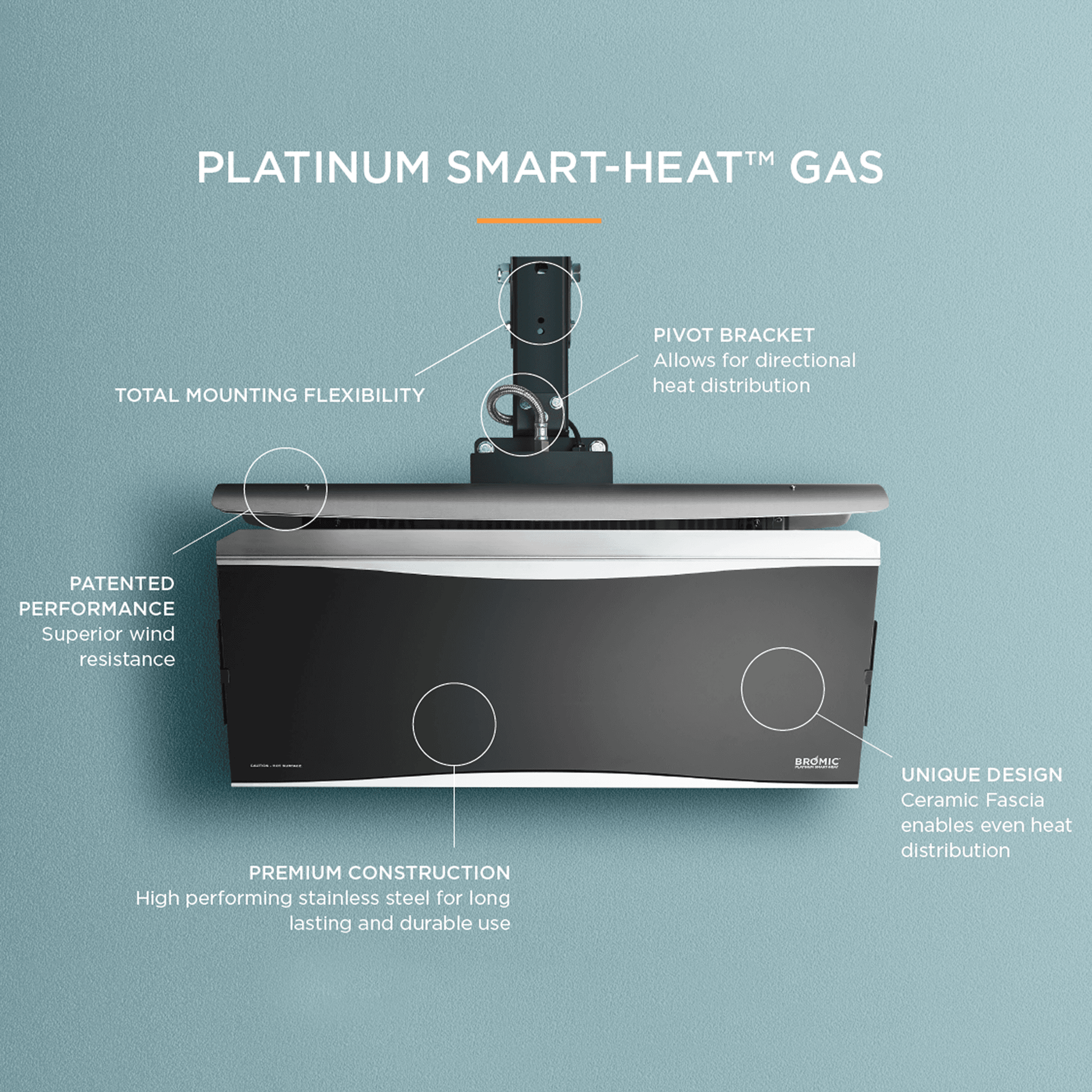 Platinum 300 Gas Heater