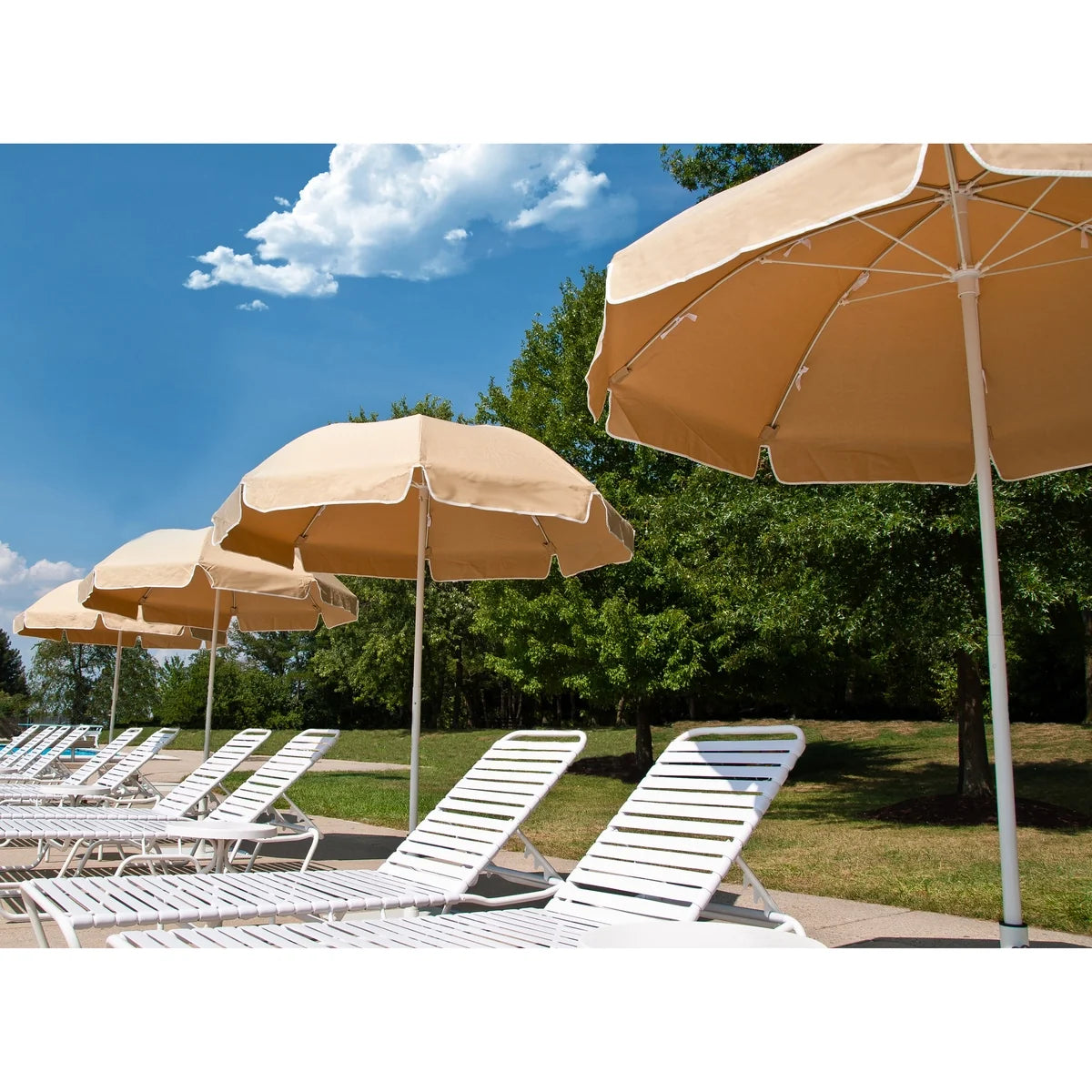 Catalina Aluminum 7.5' Manual Lift Patio Umbrella w/ Fiberglass Ribs 7