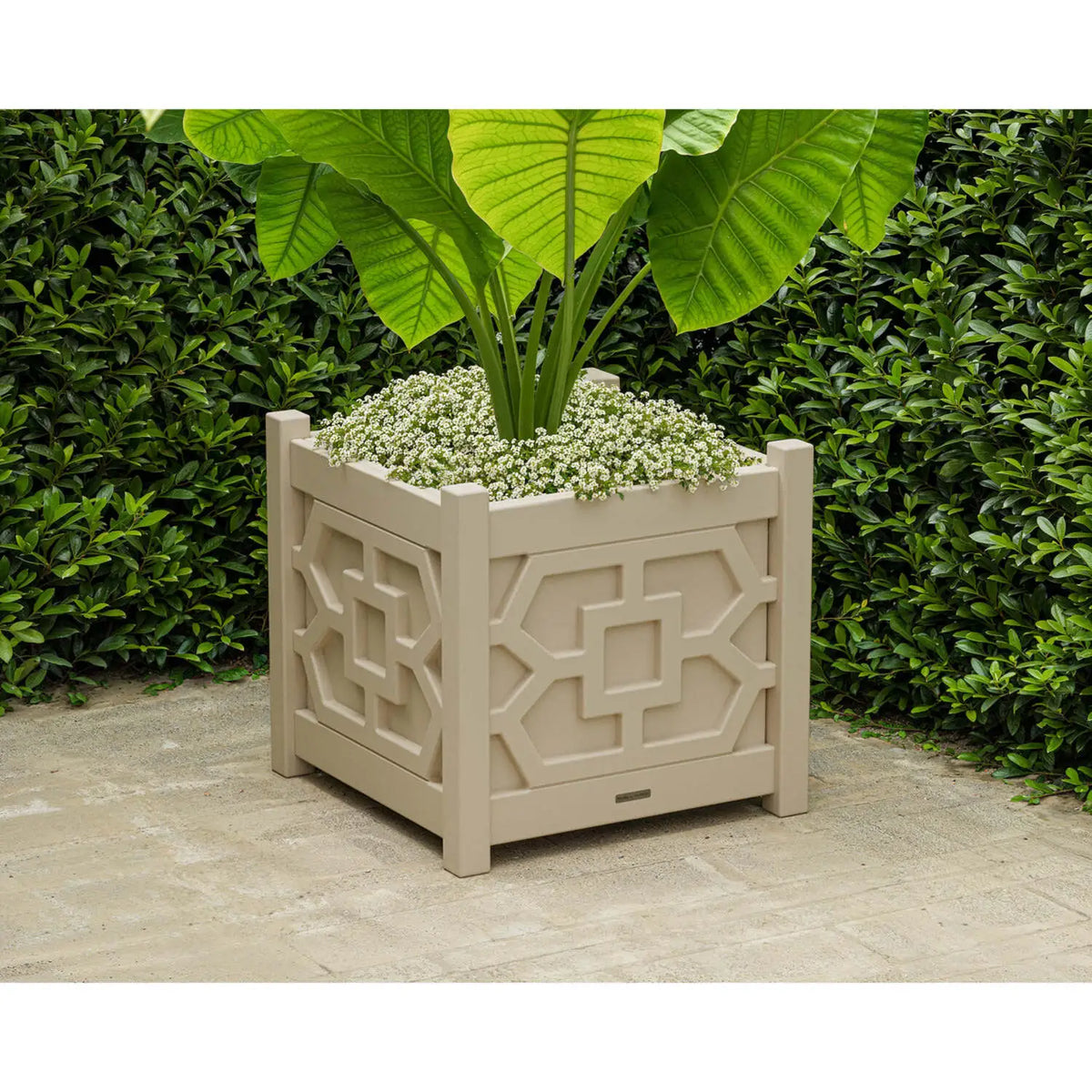 Chinoiserie Large Square Planter Box 1