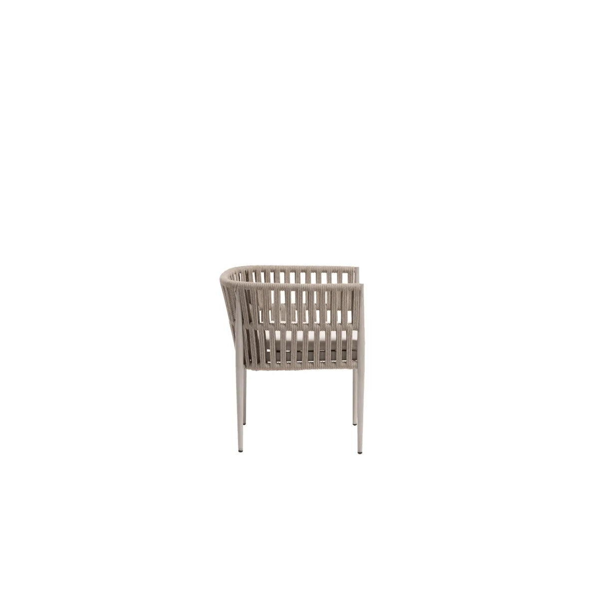 Lineas Cushioned Dining Arm Chair
