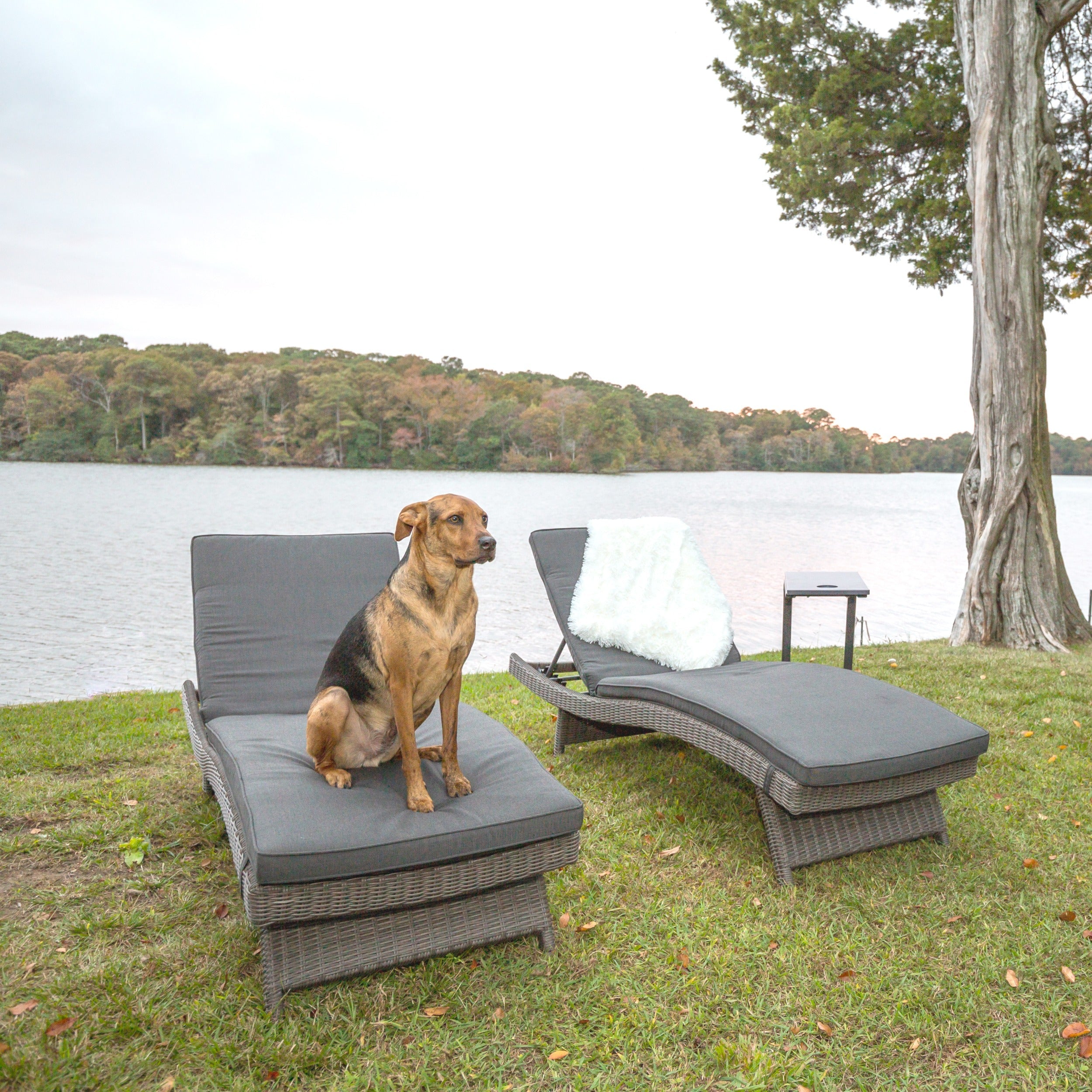 Kettler Palma Chaise Lounge lifestyle