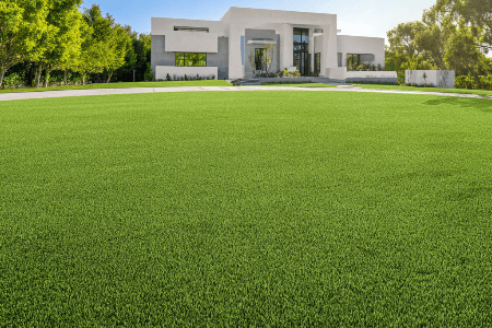 Artificial Grass